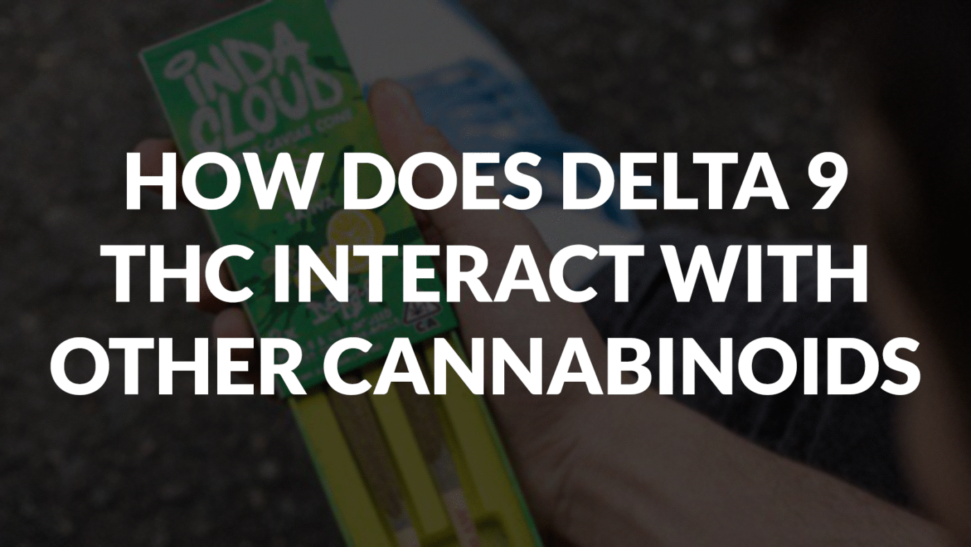 How Does Delta 9 Thc Interact With Other Cannabinoids? 14 How Does Delta 9 Thc Interact With Other Cannabinoids?