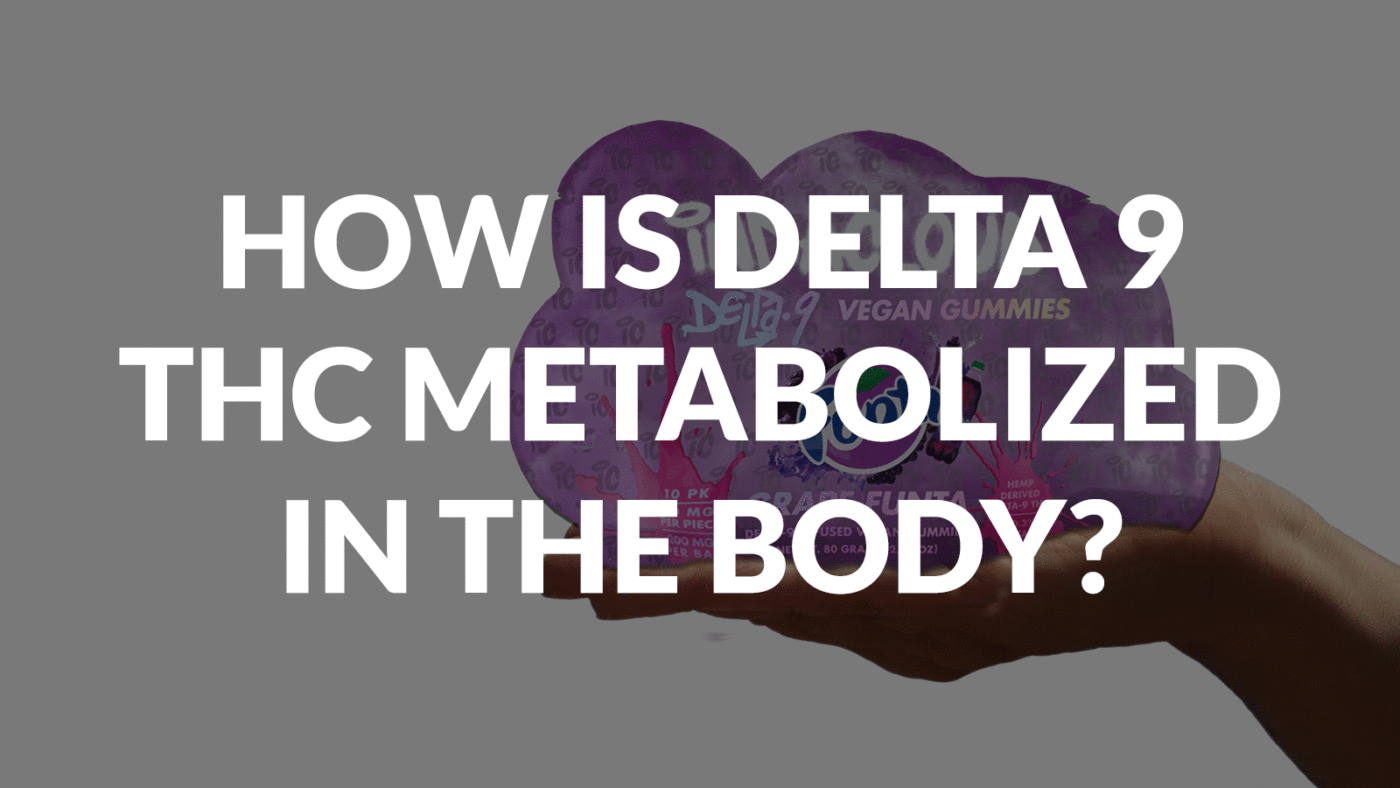 How Is Delta 9 Thc Metabolized In The Body? 2 How Is Delta 9 Thc Metabolized In The Body?