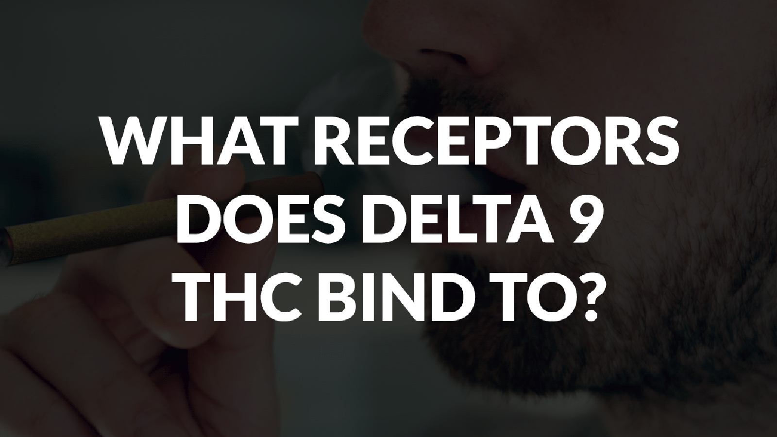 What Receptors Does Delta 9 Thc Bind To? 1 What Receptors Does Delta 9 Thc Bind To?