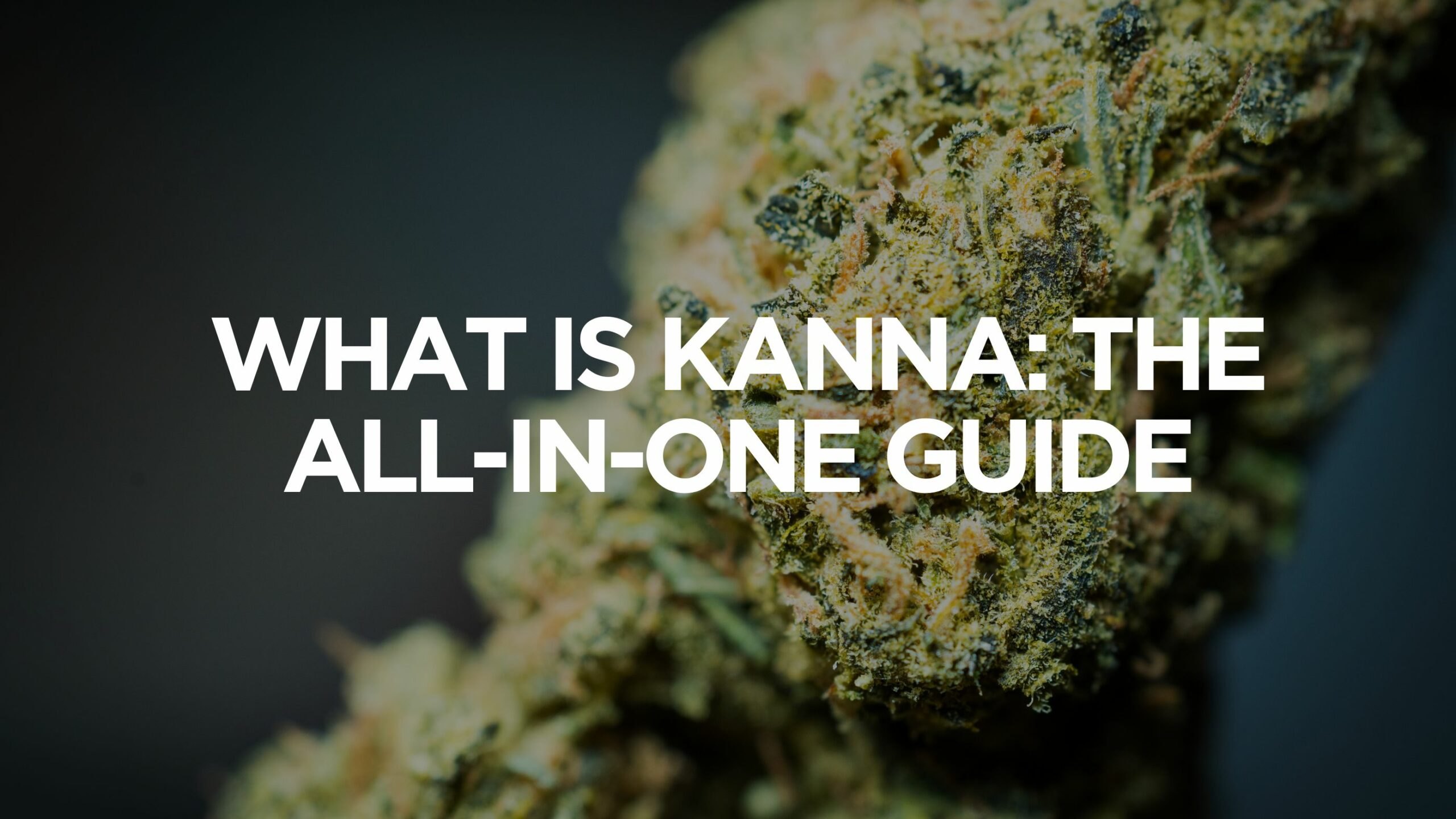 What Is Kanna: The All-In-One Guide 4 What Is Kanna?
