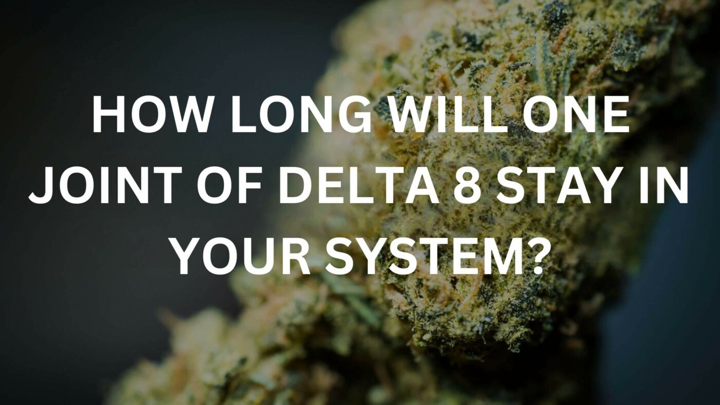 How Long Will One Joint Of Delta 8 Stay In Your System? 5 Delta 8 In System
