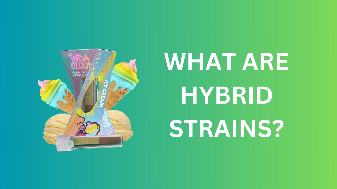 What Are Hybrid Strains? A Comprehensive Guide For Buyers 17 What Are Hybrid Strains