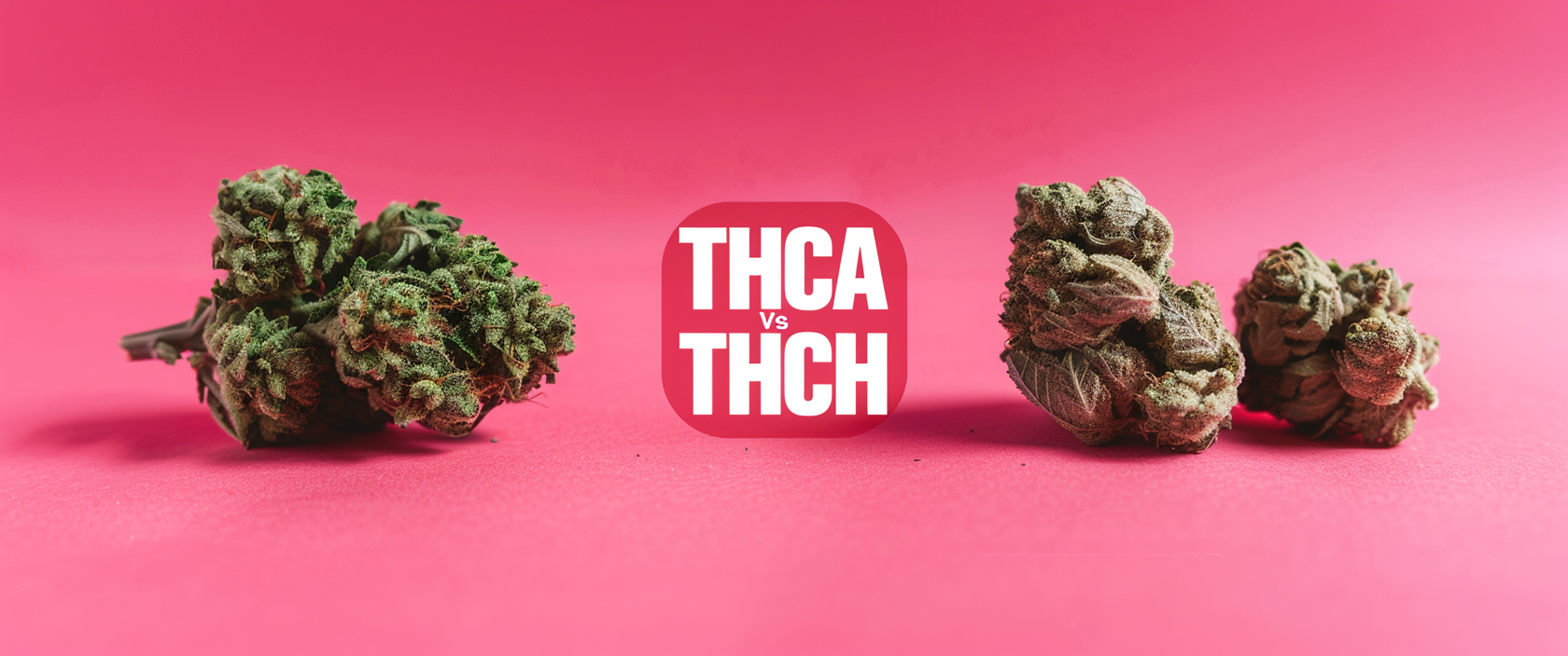 THCA Vs THCH