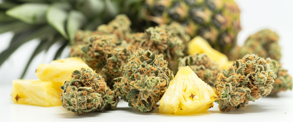 Can Delta 8 Be Mixed With Food? Read This Before You Do So! 9 Can Delta 8 Be Mixed With Food