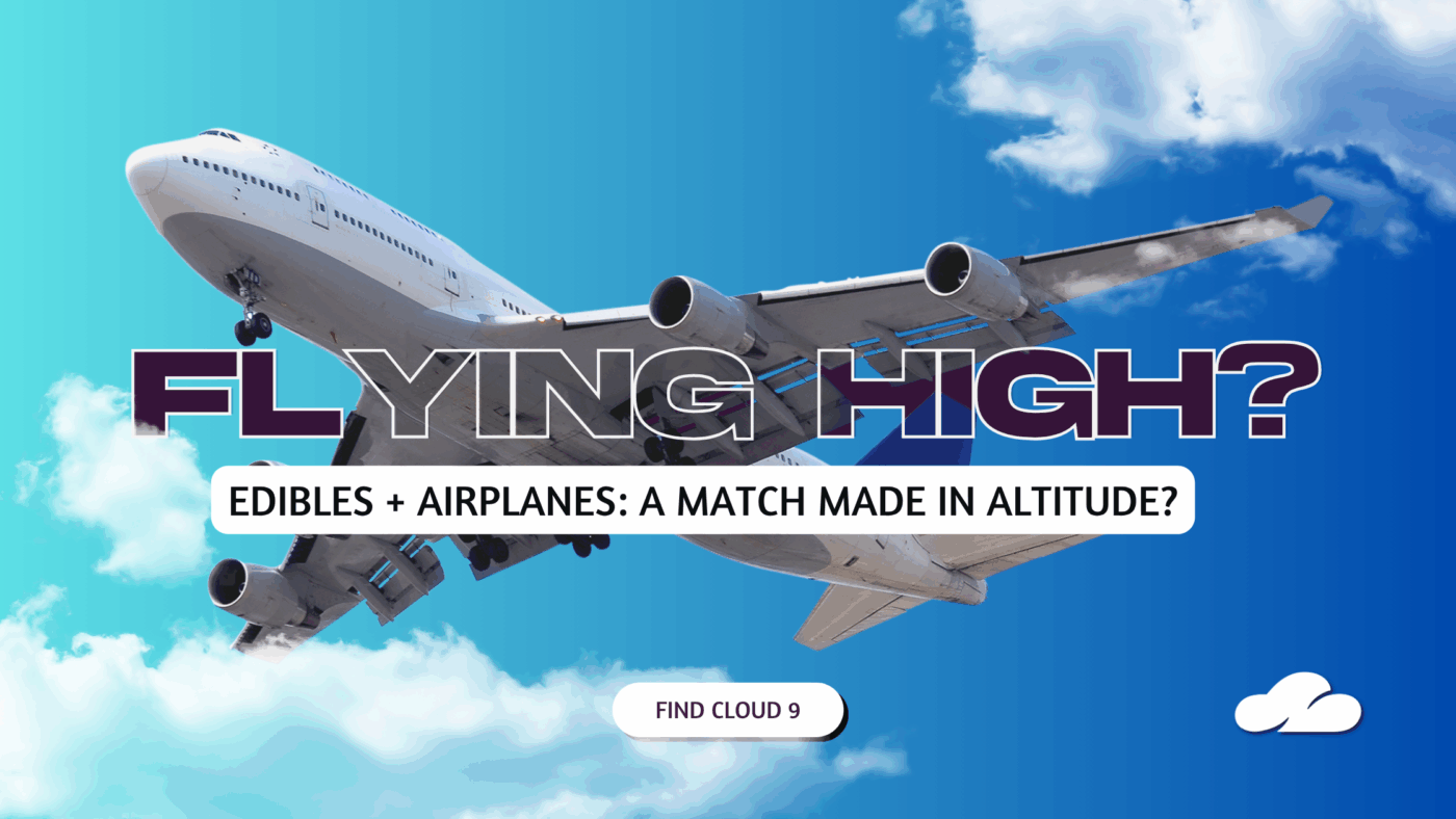 Flying High? A Guide To Taking Edibles On Planes (Legally, Comfortably, And Without Panic) 4 Flying High Header