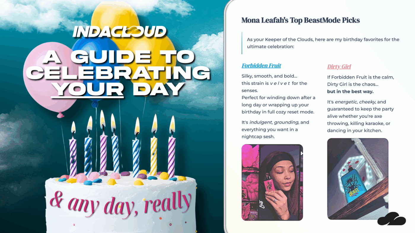 Mona’s Birthday Goes Beastmode | A Guide To Celebrating Any Day 32 3 Activities To Celebrate Your Day