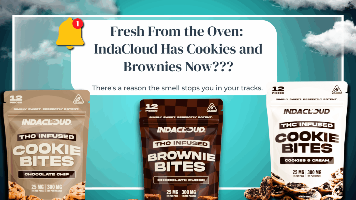 Fresh From The Oven: Indacloud Has Cookies And Brownies Now??? 31 Cookies And Brownies Launch