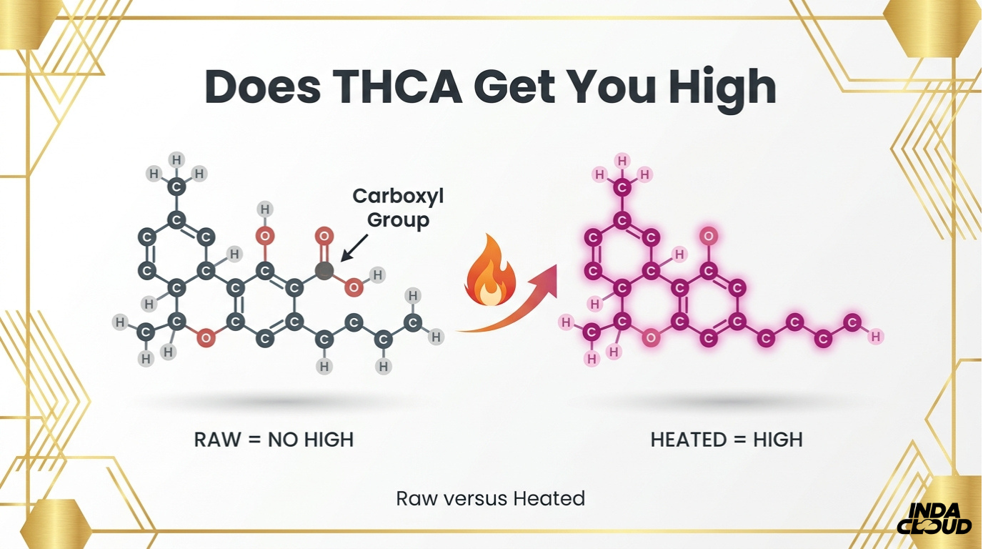 Does Thca Get You High? Understanding The Effects And Potential For Euphoria 25 Thca Raw Versus Heated Comparison Showing How Heat Removes The Carboxyl Group And Converts Thca Into Psychoactive Thc That Causes A High